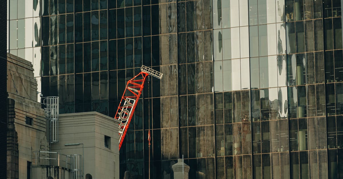 Case Studies: Successful Window Replacements and Reviews That Highlight Them