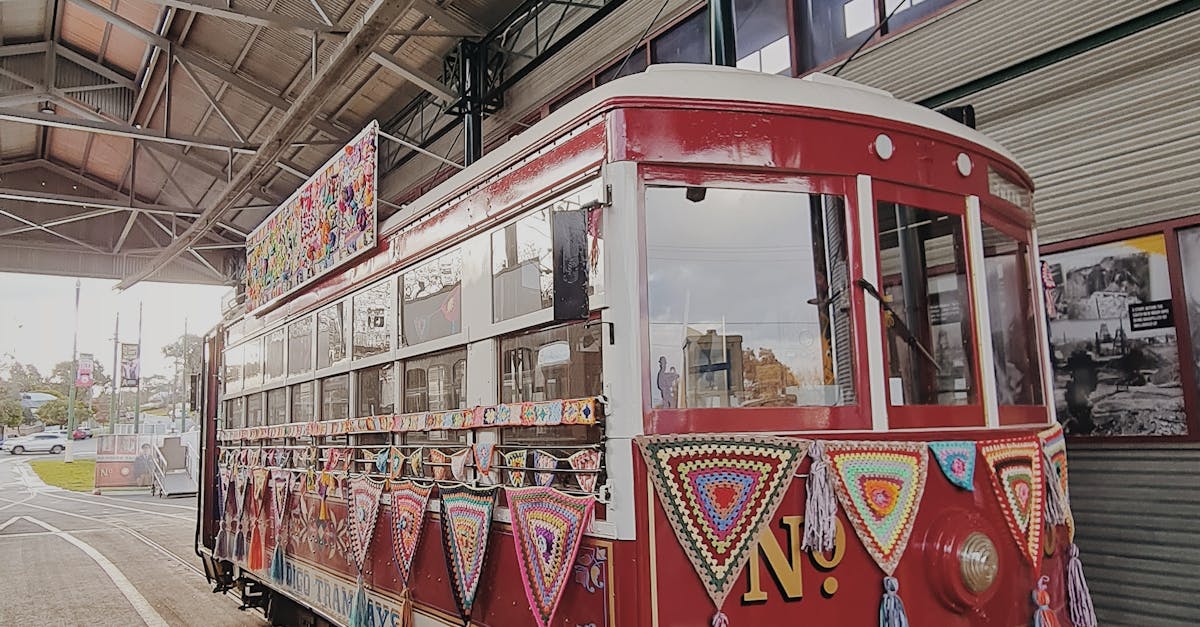 Casement Windows vs Other Window Types: A Comprehensive Comparison