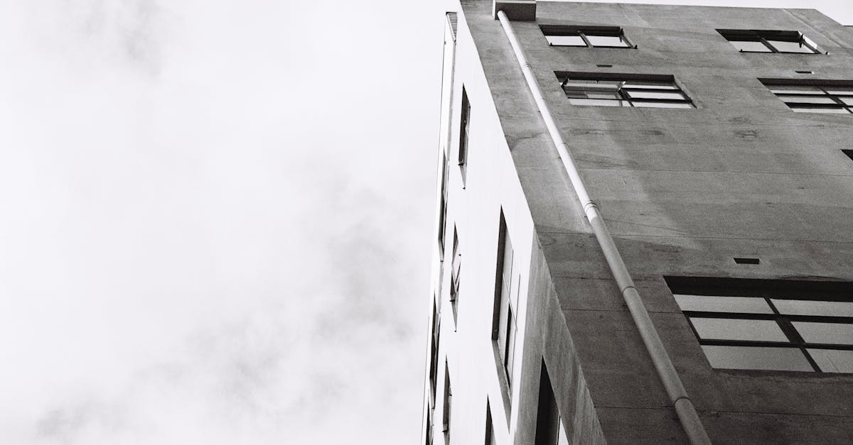 Comparing Service Offerings: What to Look for in Window Replacement Quotes