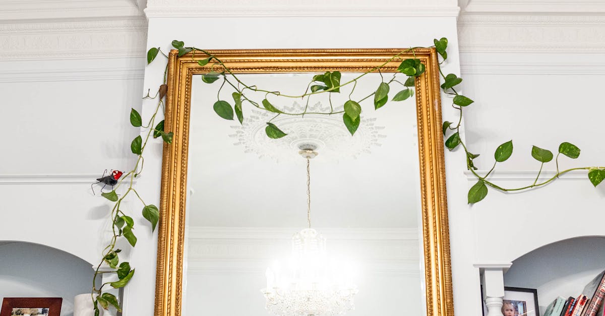 How to Evaluate Noise Reduction Claims from Window Replacement Services