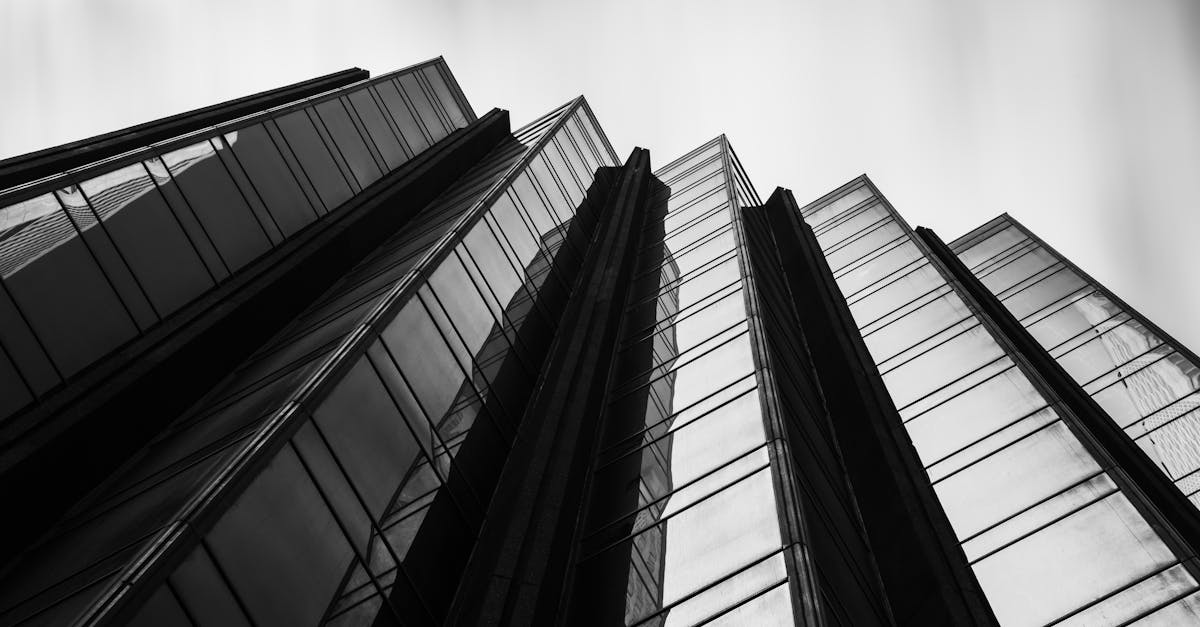 How to Interpret Reviews for Window Replacement Companies