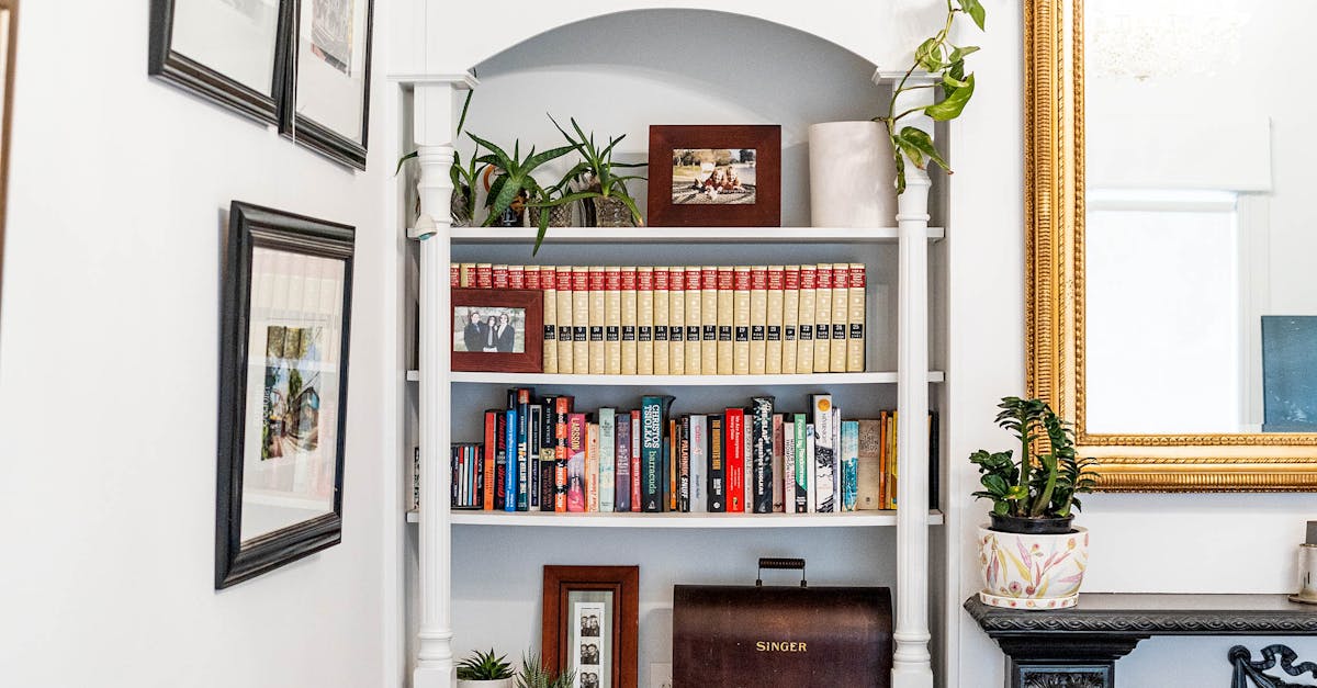 How to Select the Perfect Casement Windows for Your Property