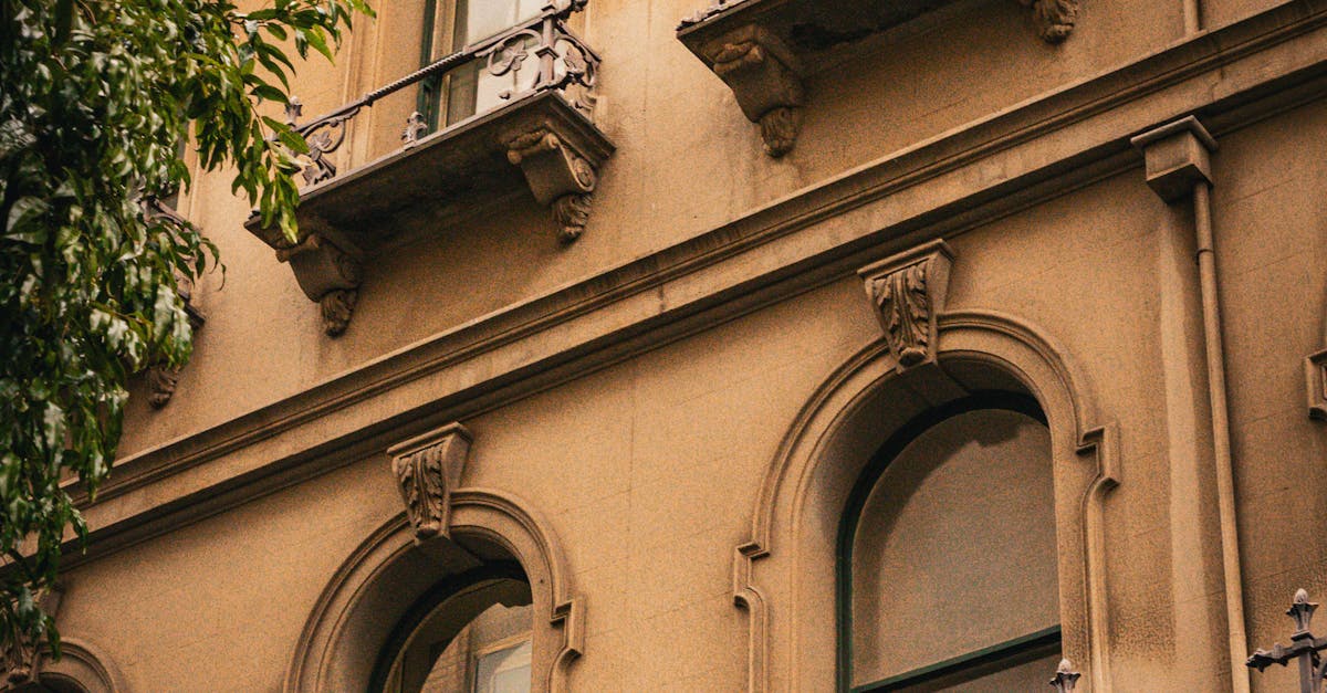 Integrating Energy-Efficient Windows Without Compromising Style