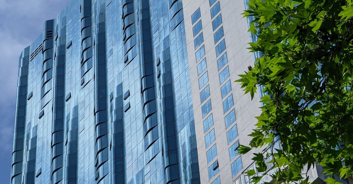 Maintenance Tips for Long-lasting Double Glazed Windows in Melbourne