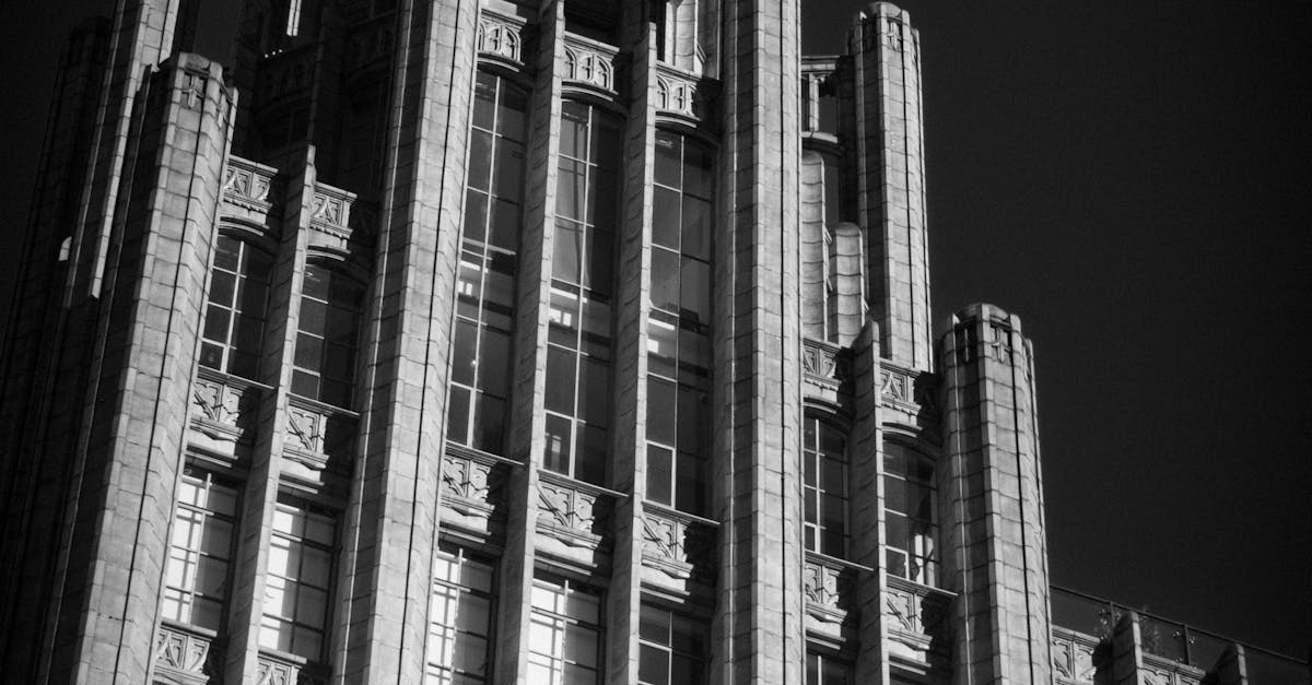 Window Design Trends That Enhance Home Value